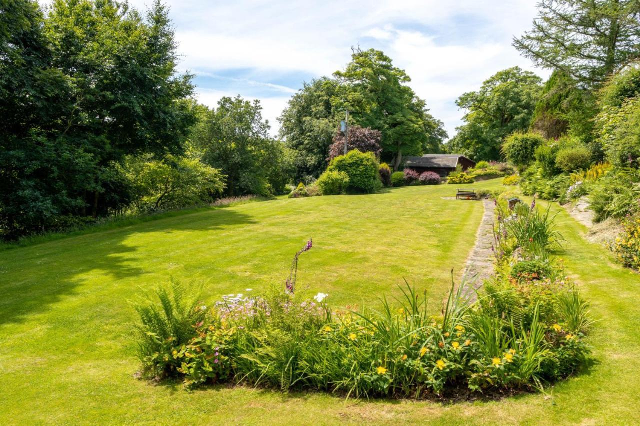 Ta Mill Cottages & Lodges - Meadowview Chalet 1 朗斯顿 外观 照片