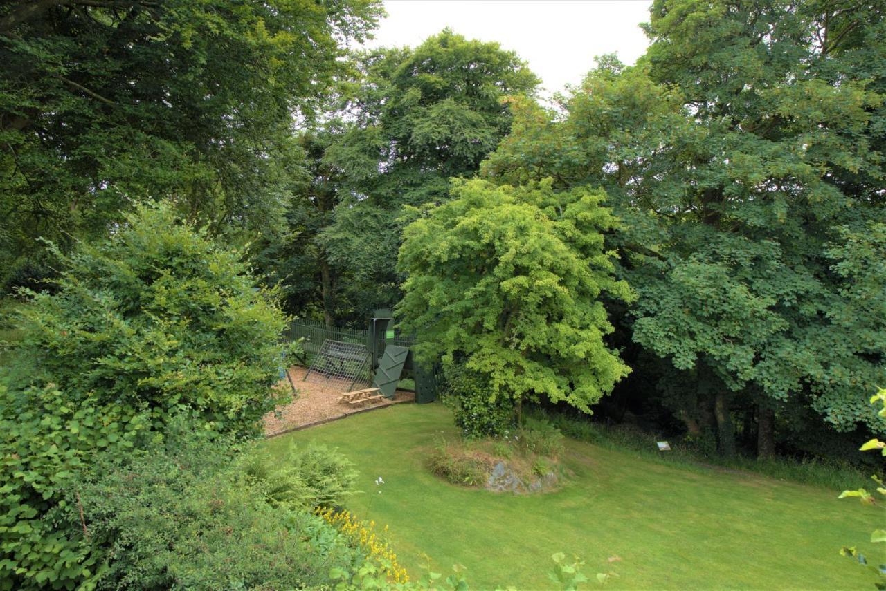 Ta Mill Cottages & Lodges - Meadowview Chalet 1 朗斯顿 外观 照片